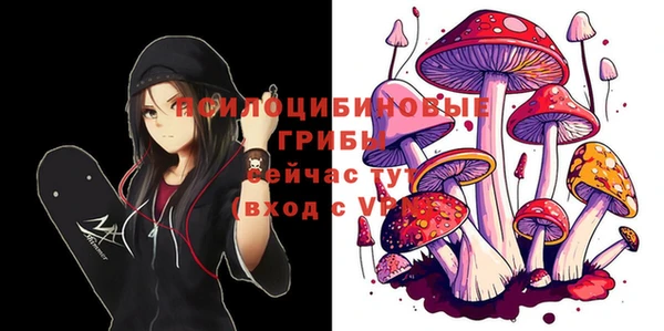 2c-b Богородицк