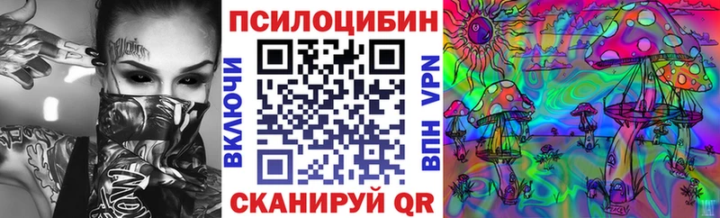 ОМГ ОМГ ONION  купить наркотик  Черняховск  Псилоцибиновые грибы ЛСД 